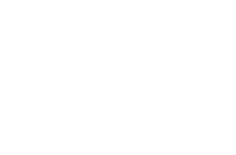 EES Model